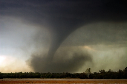 storm adjuster tornado